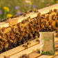 🔥Nährstoffreiches Ergänzungsfuttermittel mit Blütenpollen für Bienen