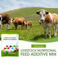 Livestock & Poultry Nutritional Additives